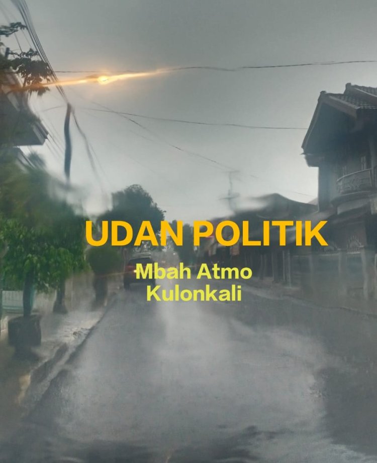 UDAN POLITIK